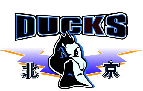 北京首钢希望在注册截止日前交易得到赵睿的简单介绍